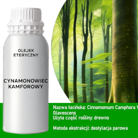 Olejek Eteryczny 0.5 kg - Cynamonowiec Kamforowy