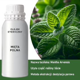 Olejek Eteryczny 0.5 kg - Mięta Polna